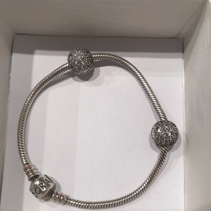 Pandora bracelet (clips not included)
